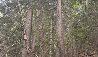 TBD Big Buck Rd, Bayview, ID 83803