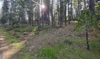 2904 Venado Dr, Arnold, CA 95223