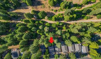 56 Splash Dam Way, Arnold, CA 95223