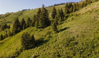 Trail Creek Road Lot 3, Bozeman, MT 59715