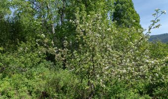 Nna Moyie River Rd, Bonners Ferry, ID 83805