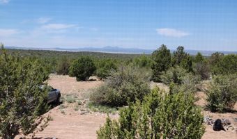Lot 13 Ranch And Cattle, Ash Fork, AZ 86320