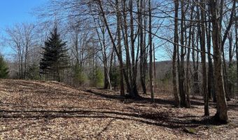 L22.2 Alder Pond Road, Andes, NY 13740