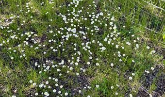 TBD CR 501, Bayfield, CO 81122