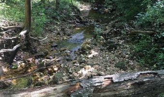 County Road P-305, Ava, MO 65608