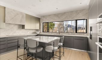 323 E Reds Rd, Aspen, CO 81611