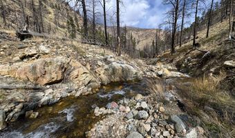 122 Black Hollow Rd, Bellvue, CO 80512