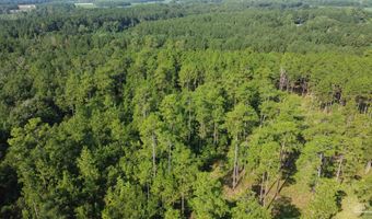 0 Lowery Rd Lot #11, Atmore, AL 36502
