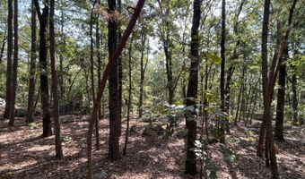 Antlers Road, Antlers, OK 74523