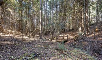 2376 Little Blacktail Rd, Careywood, ID 83809