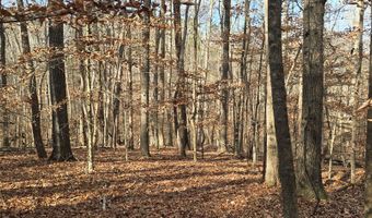 00001 Hwy 369, Ball Ground, GA 30107