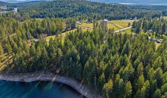 701 McCaffery Rd, Bigfork, MT 59911