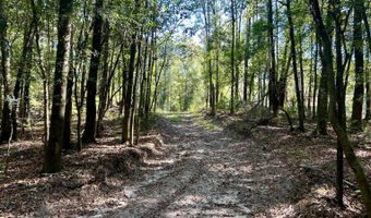 0 Lloyd Mill Rd, Andalusia, AL 36421