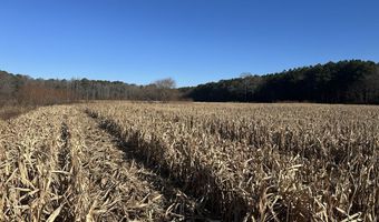 0 Bivalve Lodge Rd, Bivalve, MD 21814