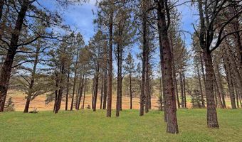 Lot 1133 Spyglass Hill Rd, Angel Fire, NM 87710