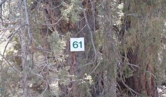 2805 N Dead Horse Lp, Alton, UT 84710