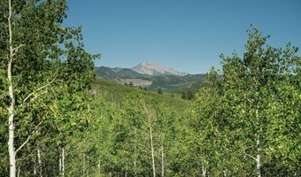 1833 W Buttermilk Rd, Aspen, CO 81611