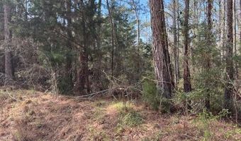 Conecuh River Church Rd, Andalusia, AL 36420