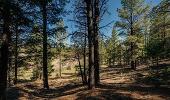 Snowmass Rd lot 9, Angel Fire, NM 87710