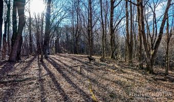 Little Tree Lane, Banner Elk, NC 28604