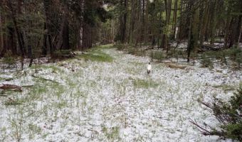 Lot 8 Back Basin, Angel Fire, NM 87710