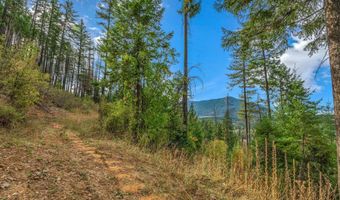 NKA Silver Creek Road, Clark Fork, ID 83811