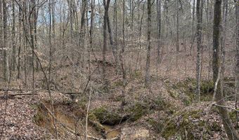 Hwy 9, Blue Springs, MS 38828