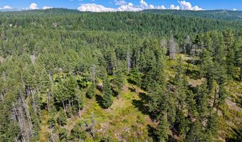 338 Flathead Lodge Rd, Bigfork, MT 59911