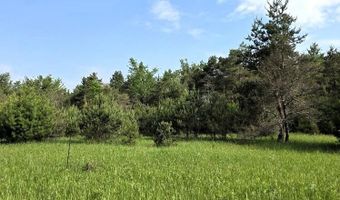 Martin Road, Alpena, MI 49707