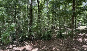 49 La Granja Cir, Hot Springs Village, AR 71909