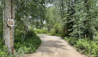 209 Deer Path Ln, Almont, CO 81230