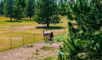 30267 N WHEATRIDGE Rd, Athol, ID 83801