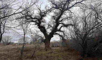 3275 Alcorn Rd, Fallon, NV 89406