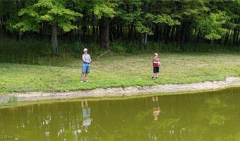 488 Penn Line Rd, Pierpont, OH 44082