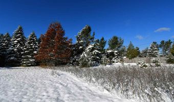 8324 MILLER, Alanson, MI 49706