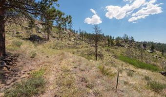 693 Cougar Dr, Bellvue, CO 80512