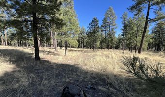 County Road N2147 lot C, Alpine, AZ 85920