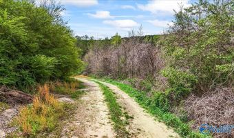 435 Sneadview Rd, Altoona, AL 35952