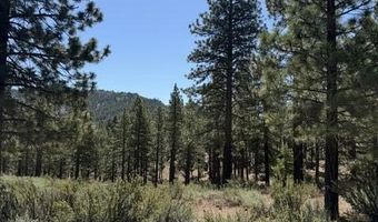 205 Haskell Mill Ct Lot 205, Carson City, NV 89705