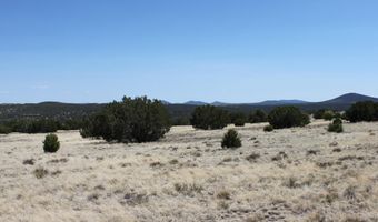 36 County Road 8249, Concho, AZ 85924