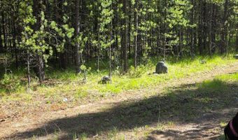 Anderson Tracts Road, Anaconda, MT 59711