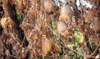 3371 Fair Oaks Ave, Altadena, CA 91001