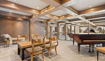 730 S Galena St, Aspen, CO 81611