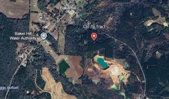 0 County Road 79 S, Baker Hill, AL 36027
