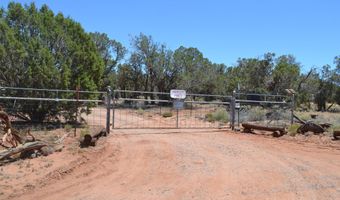 82 5020, Concho, AZ 85924