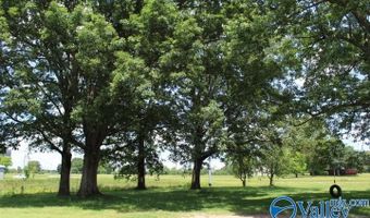 8198- A Brindlee Mountain Pkwy, Arab, AL 35016