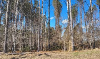 Smith County Road 99, Bay Springs, MS 39422