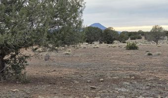 214 B Juniper Woods, Ash Fork, AZ 86320