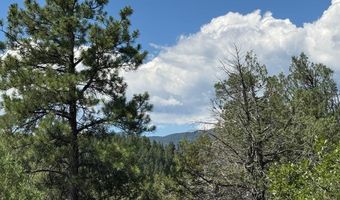 TBD-2 Vine Mesa Ave, Beulah, CO 81023