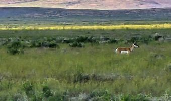 400 Cold Spring Point Rd, Crescent Valley, NV 89821